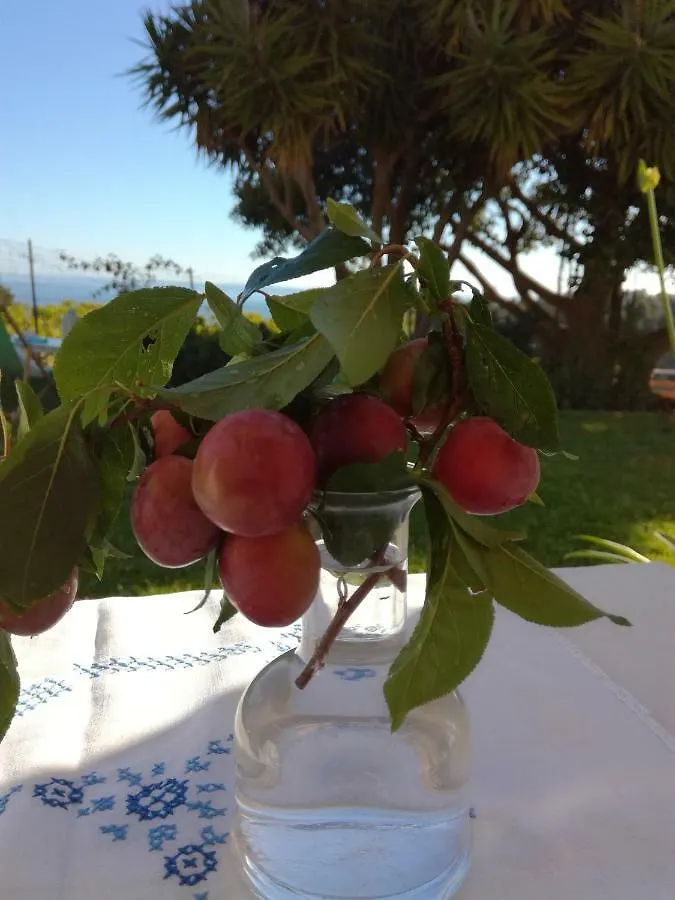 Prázdninový dům Villa Anna Castellammare del Golfo